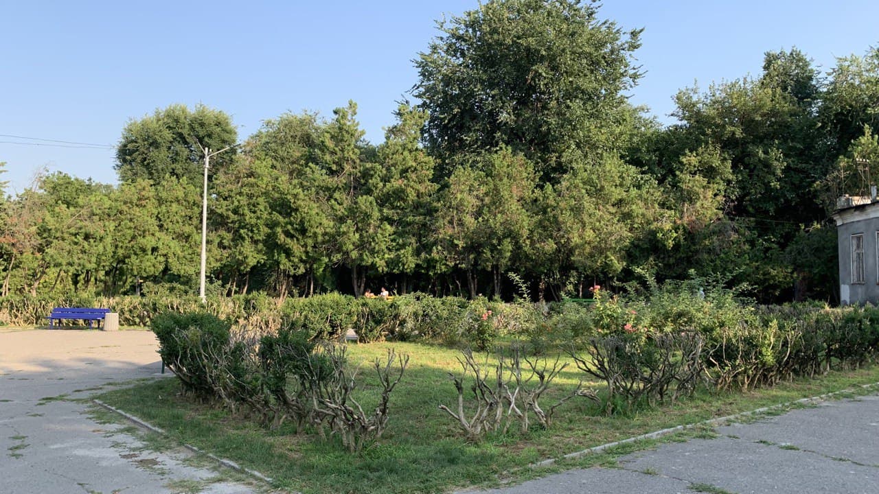 Дюковский парк. Фото автора