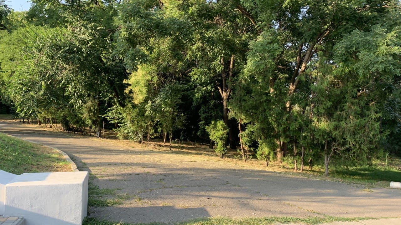 Дюковский парк. Фото автора