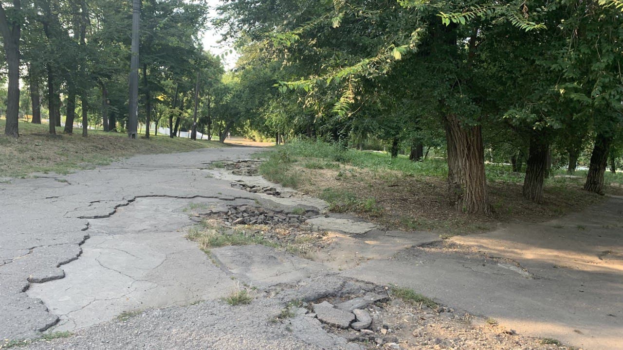 Дюковский парк. Фото автора