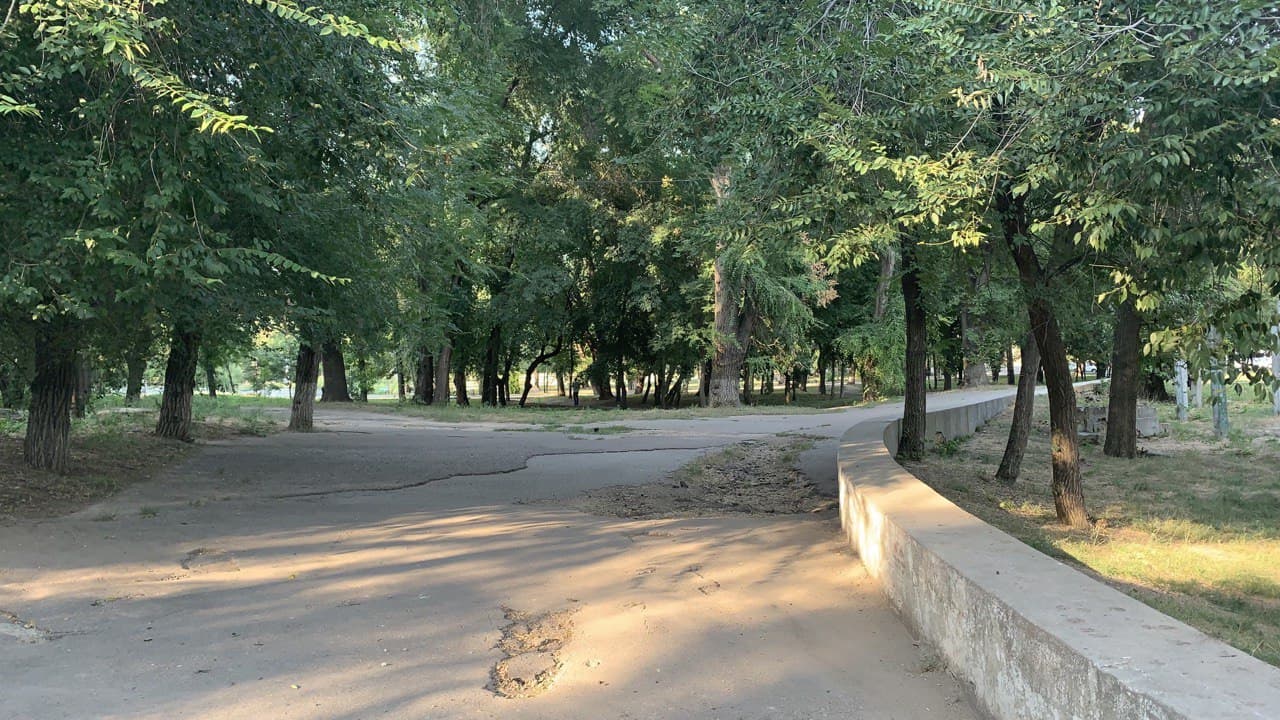 Дюковский парк. Фото автора