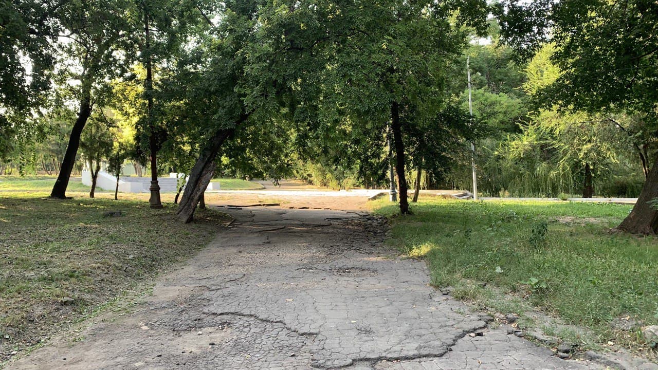 Дюковский парк. Фото автора