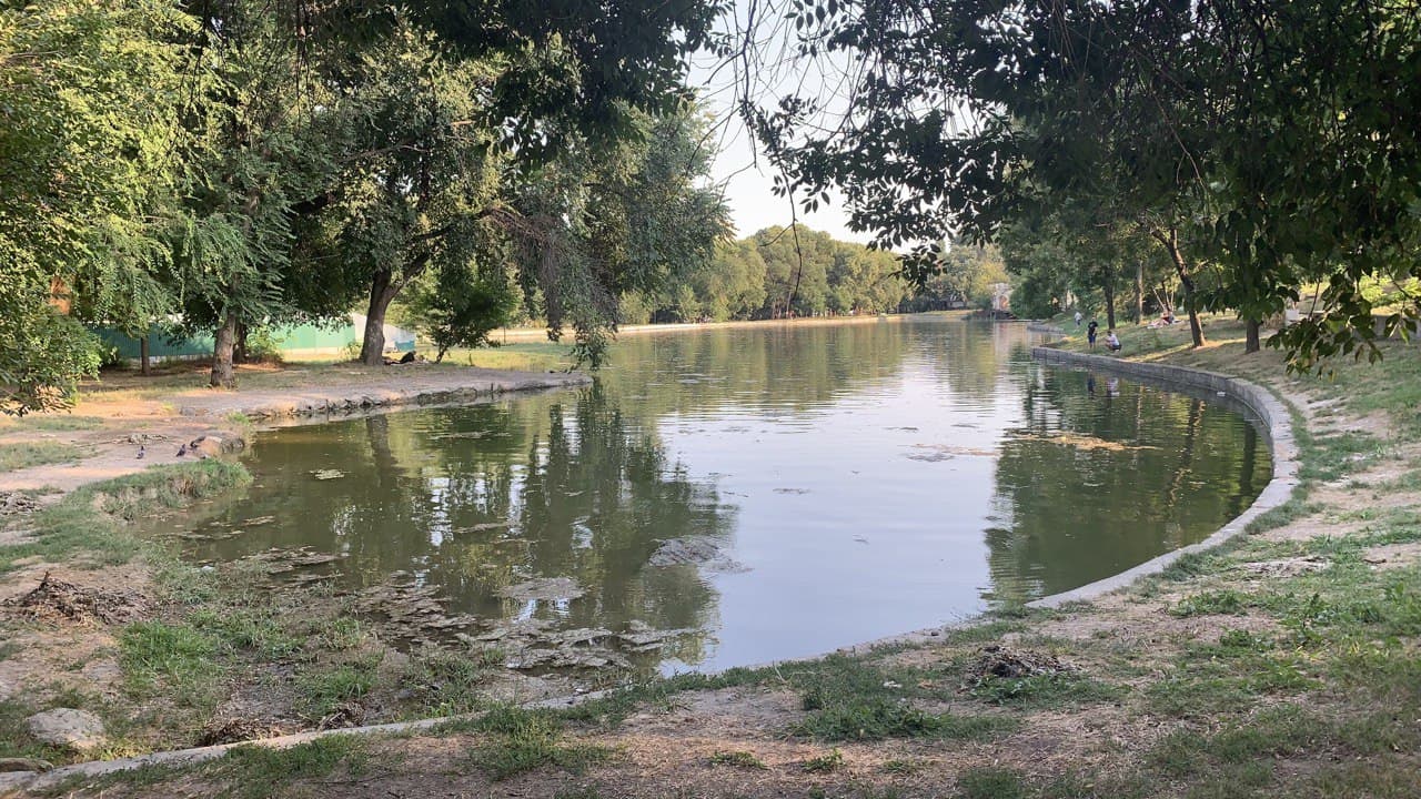 Дюковский парк. Фото автора