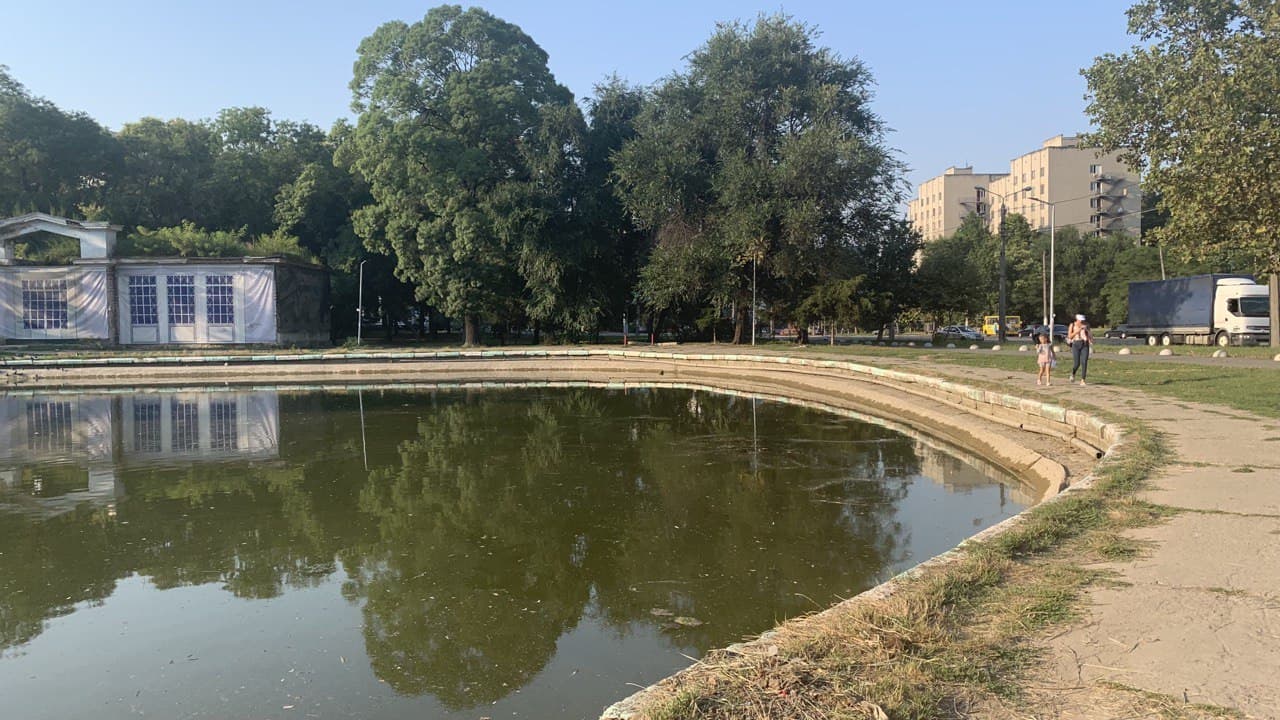 Дюковский парк. Фото автора