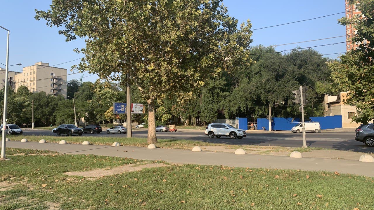 Дюковский парк. Фото автора