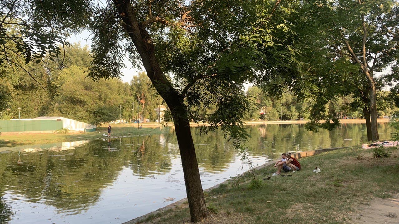 Дюковский парк. Фото автора