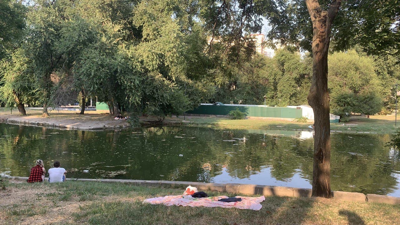 Дюковский парк. Фото автора