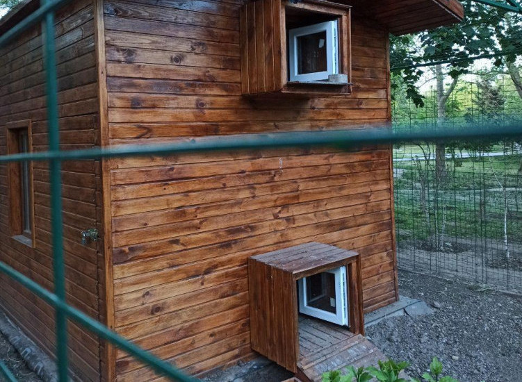 Фото: Думская 