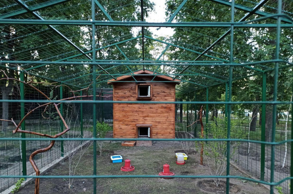 Птичник в Одессе