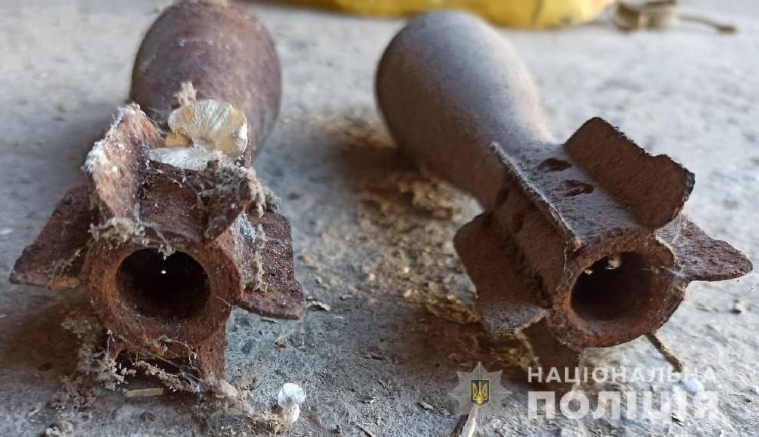 Опасный сосед: под Одессой мужчина хранил в гараже огромный арсенал оружия  фото 1