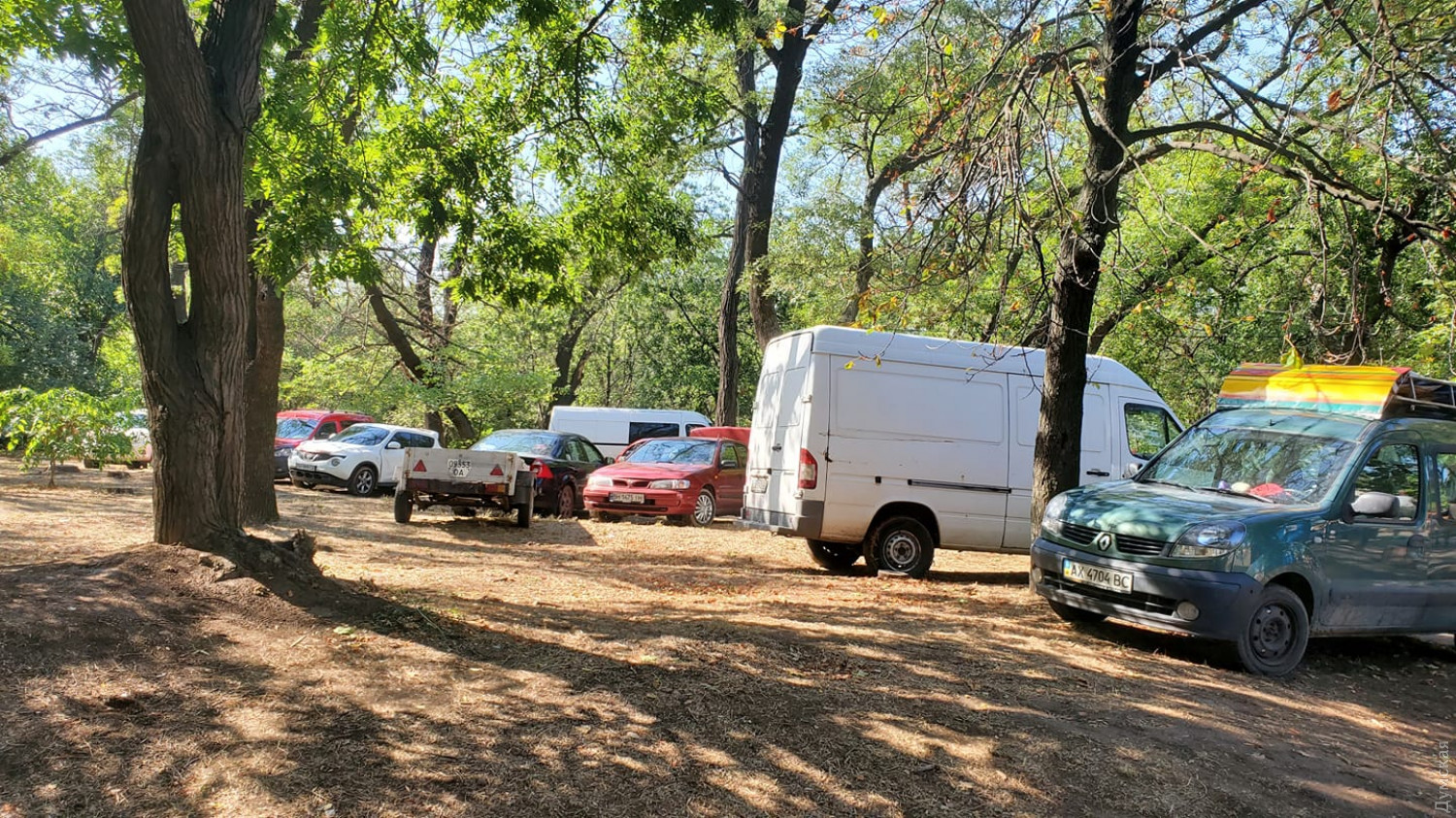 Фото: Думская