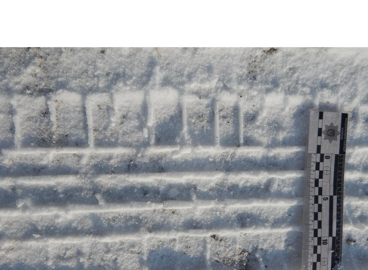 Под Одессой мужчины похитили односельчанина: их остановил снежный занос  фото 2 1