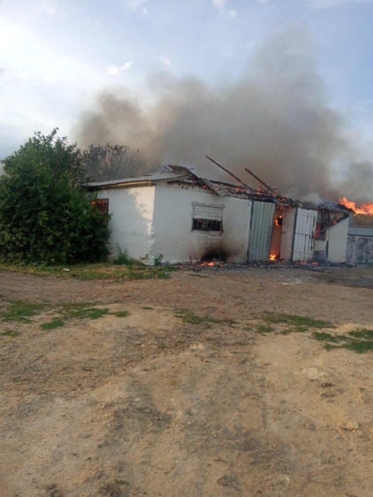 Пожар на свиноферме Фото: ГСЧС