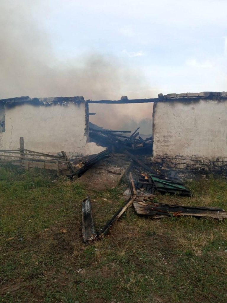 Пожар на свиноферме Фото: ГСЧС