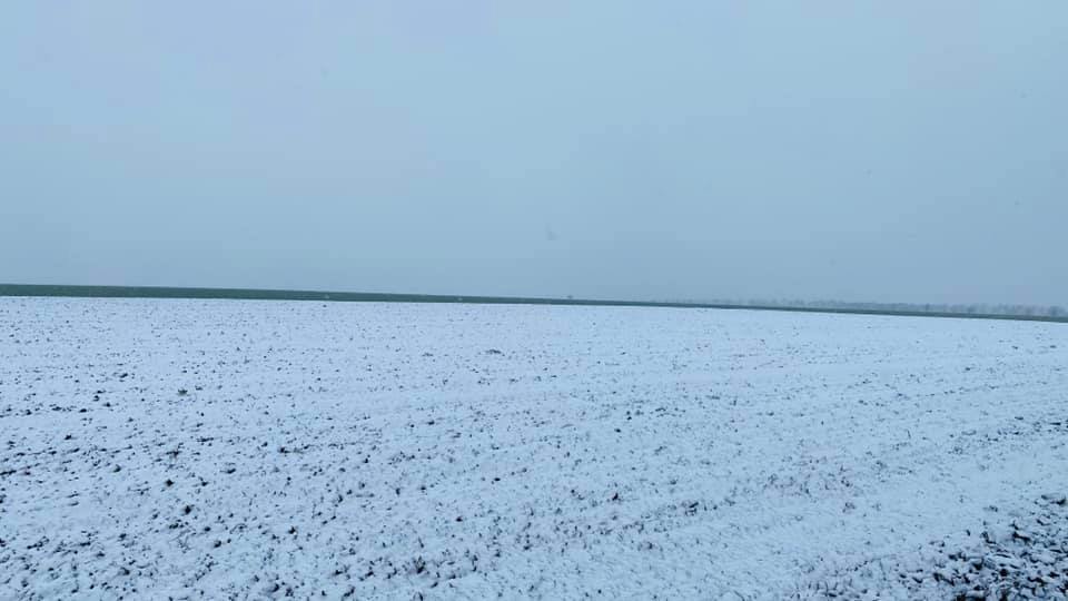 Фото: Павел Бойченко