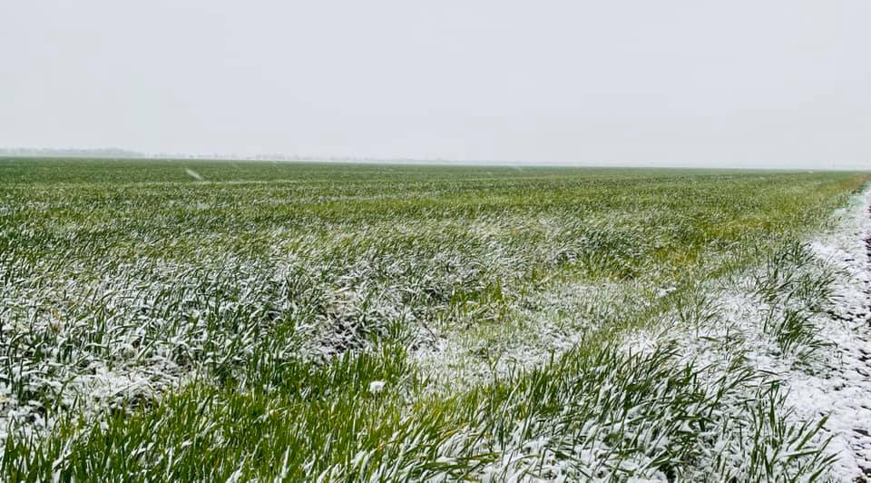 Фото: Павел Бойченко