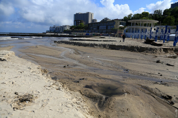Фото: Думская