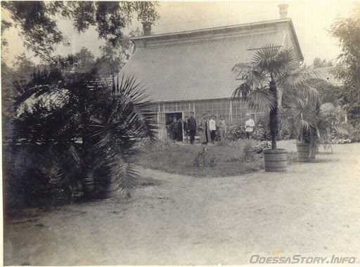 Теплица Бернардацци. Старое фото. Источник: odessa.story