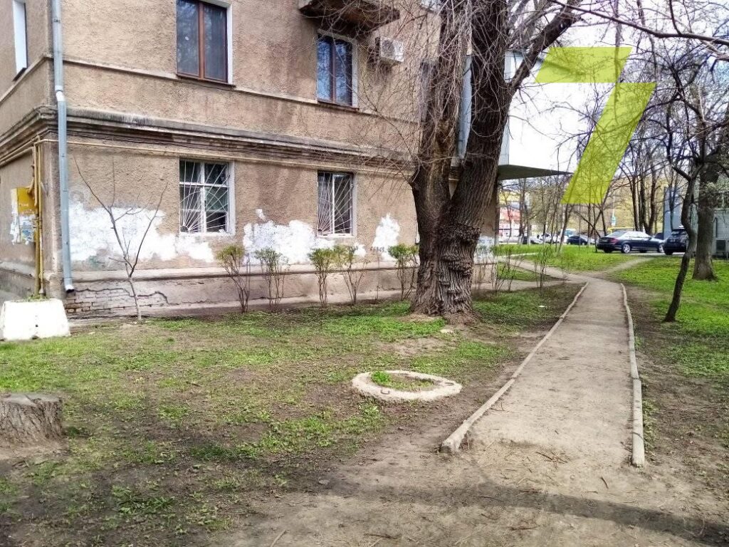 В Одессе потравили котов. Фото: Седьмой канал