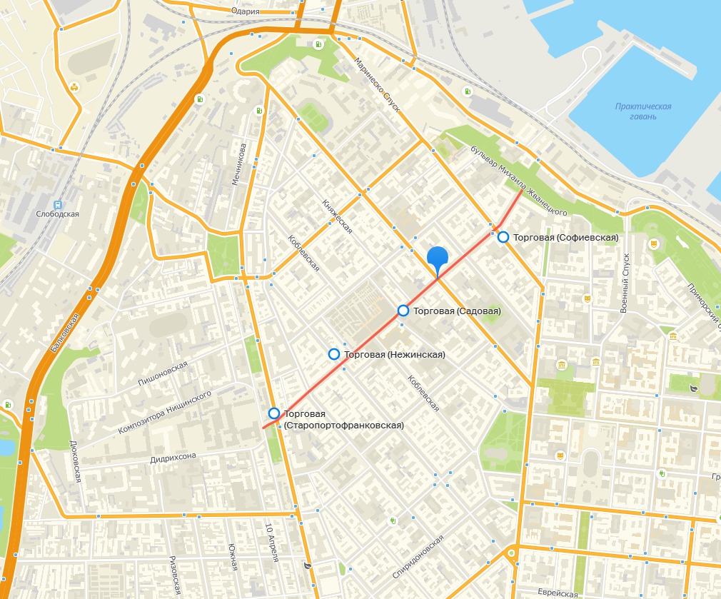 Улица Торговая. Скрин: 2ГИС