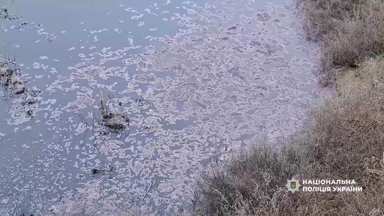 На Одещині директор виноробного підприємства підозрюється у забрудненні земель на понад 12 млн гривень.
