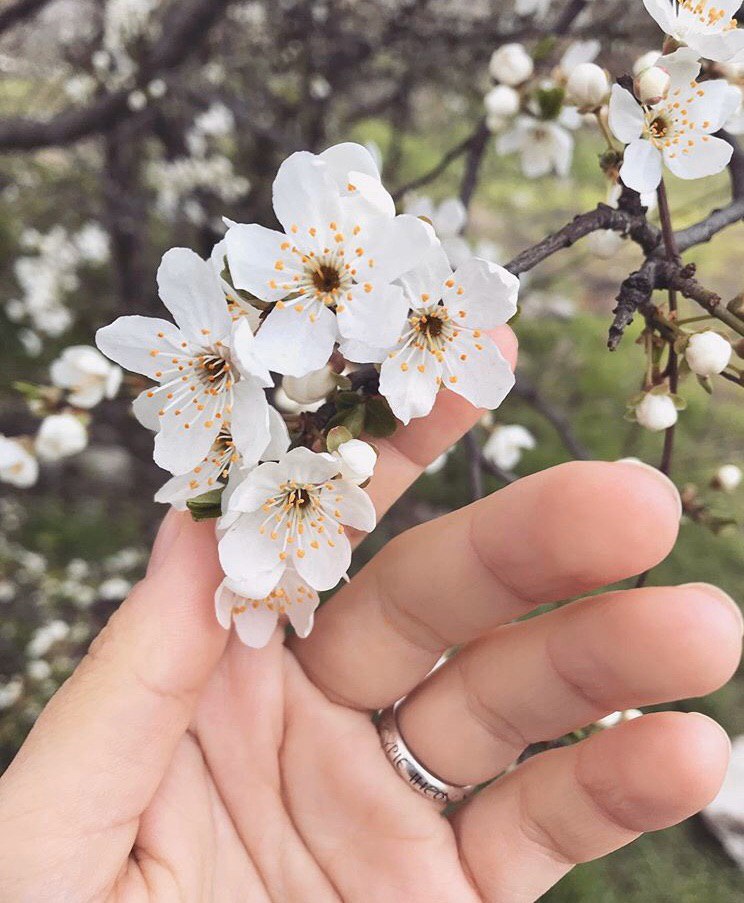 Карантин в Одессе. Фото: Alexandra Verzhbitskaya