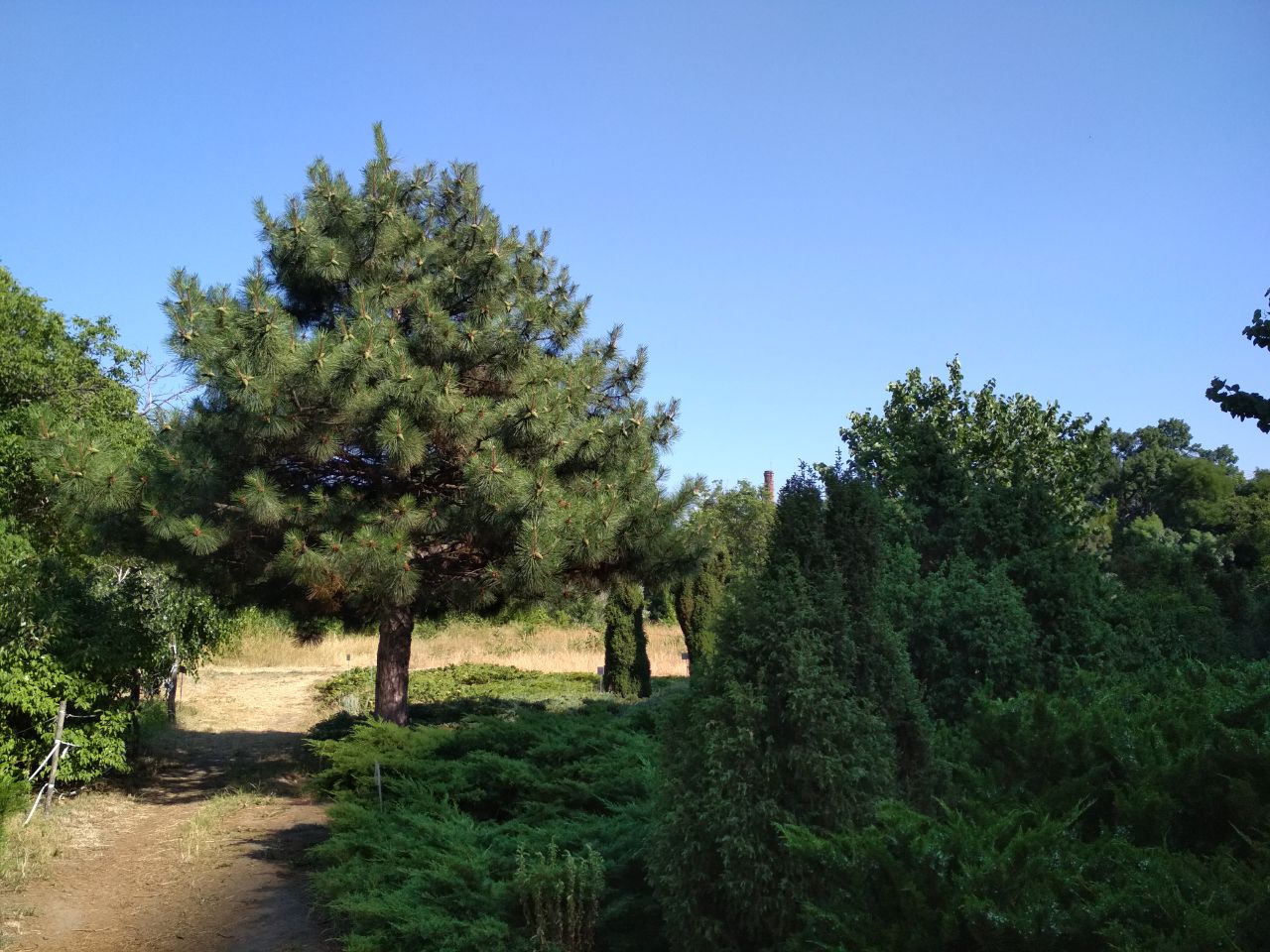 Одесский ботсад