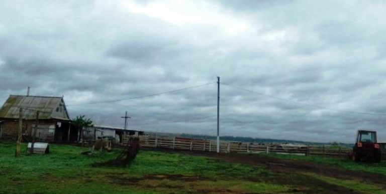 В Одесскую область вернулись волки. Фото: БессарабияINFORM