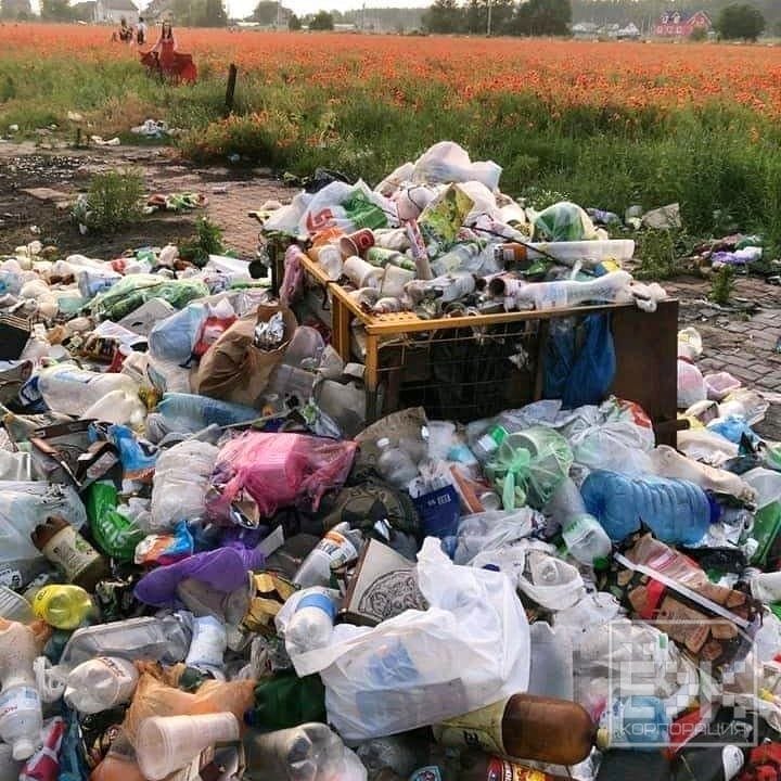 Свалка на маковом поле. Фото: ЕЖ. Одесса