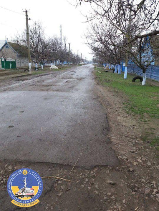 Під Одесою двоє чоловіків зазнали поранень вилами.