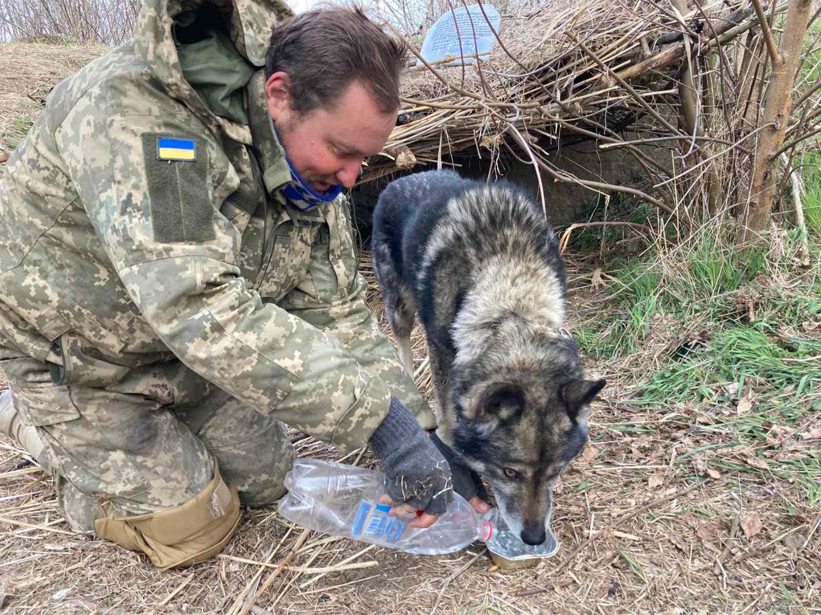 Лідери фанатів "Чорноморця" нагородили орденом: він тепер у ЗСУ.