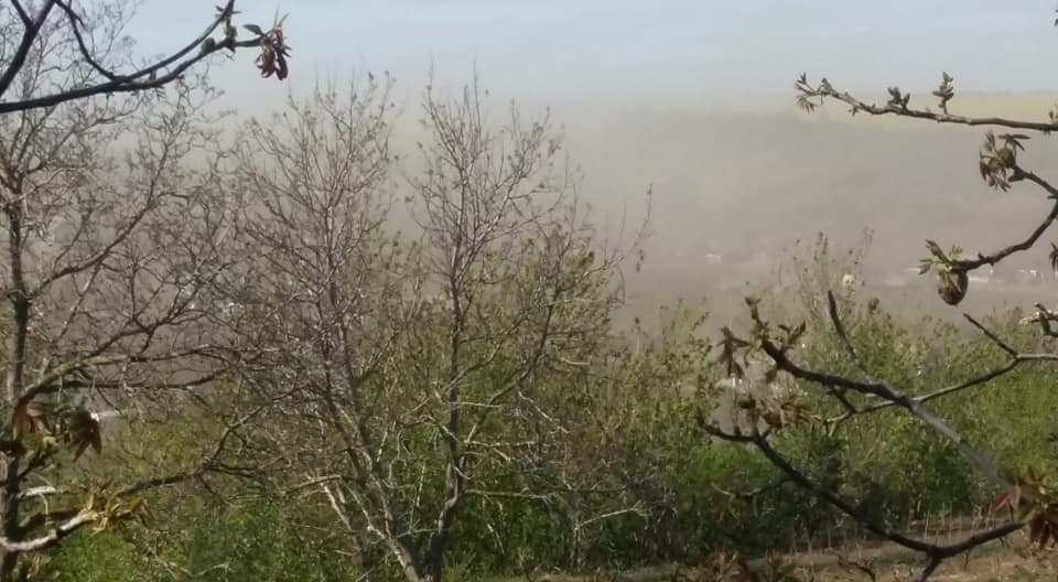 Фото: Александр Попеску