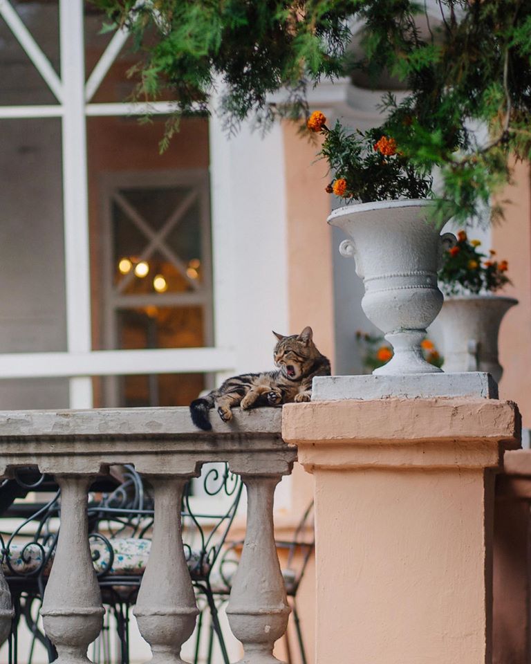 Какие летние площадки работают после послабления карантина в Одессе. Фото: Дача