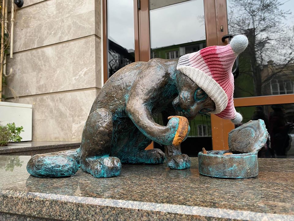 Кот с килькой. Фото: Елена Орлова