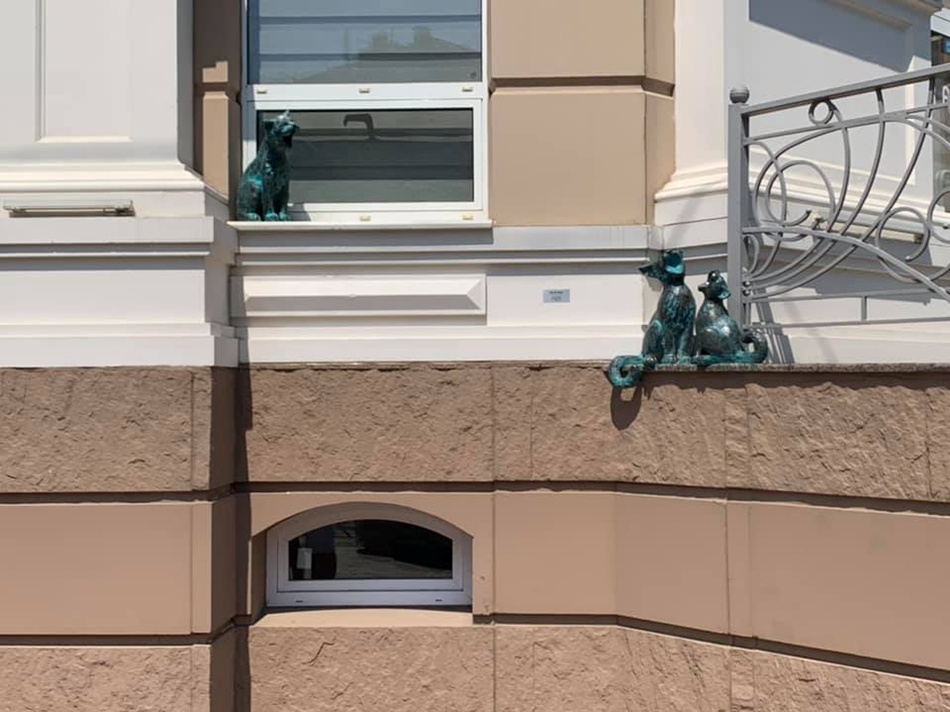 Поющие коты в Одессе Фото: Татьяна Штыкало