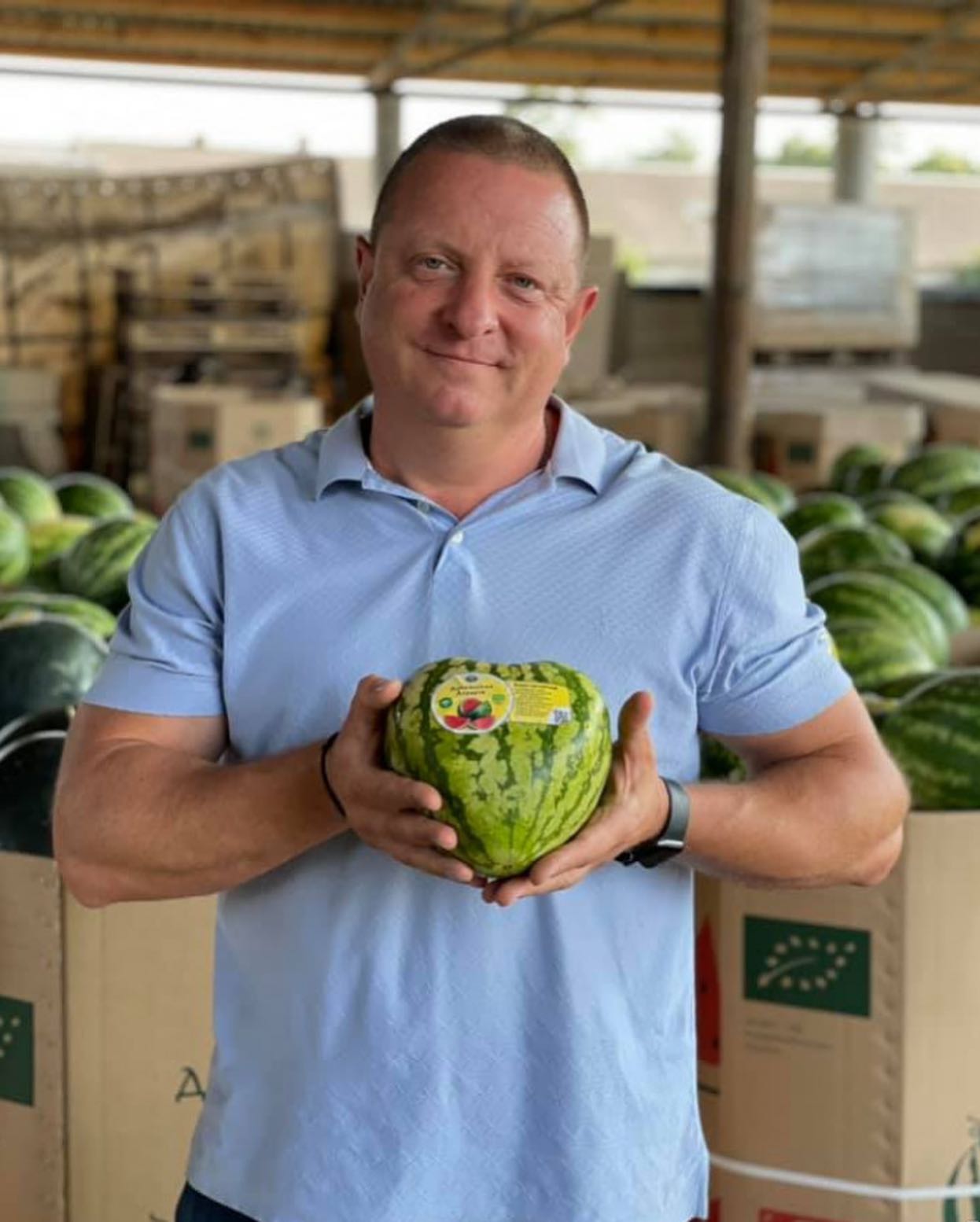 в Одесской области выращивают арбузы в форме сердца. Фото: Роман Дяжук