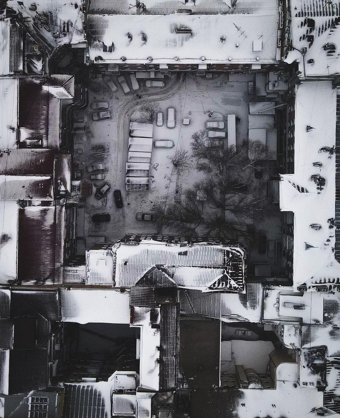 Заснеженная Одесса в 2022 году.