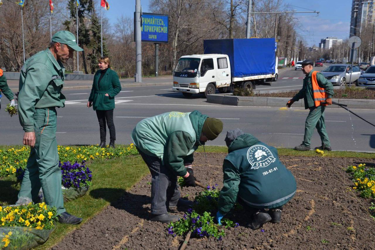 На площади 10 апреля высадили патриотические цветы.