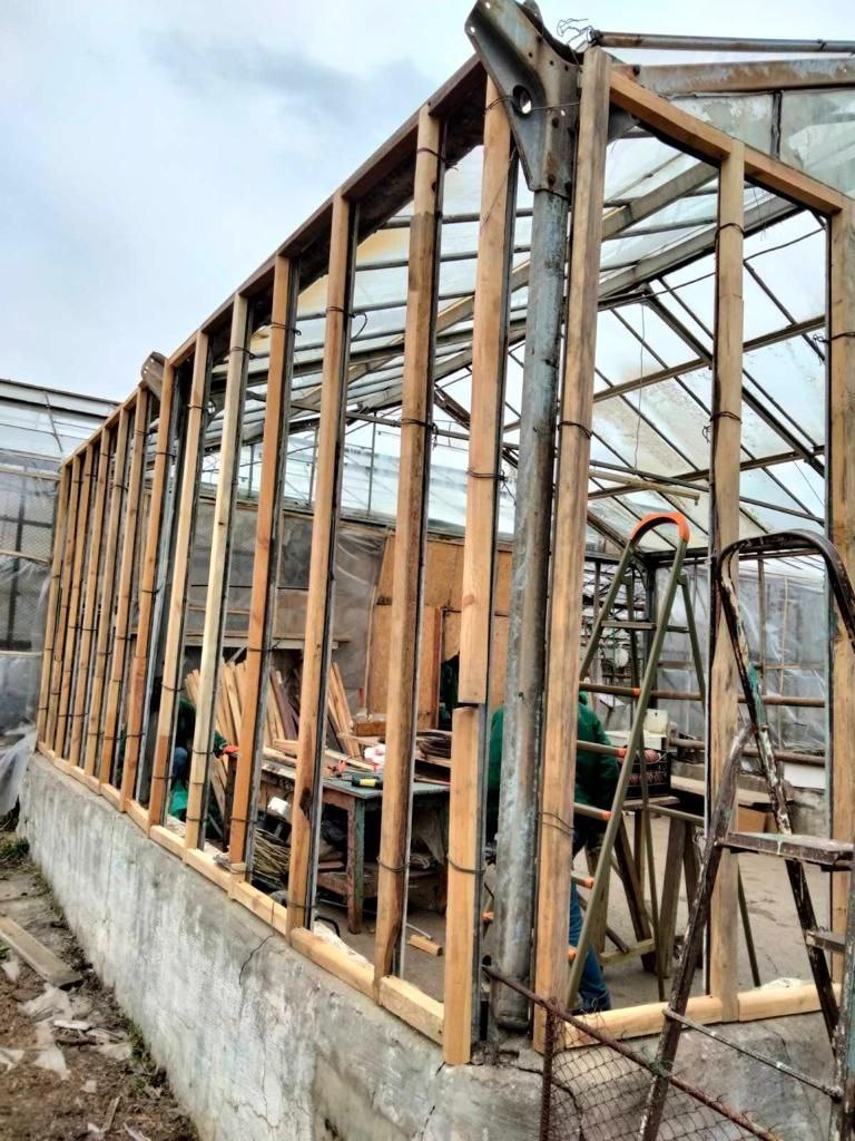 Через обстріл Одеської області постраждали теплиці "Міськзелентресту".