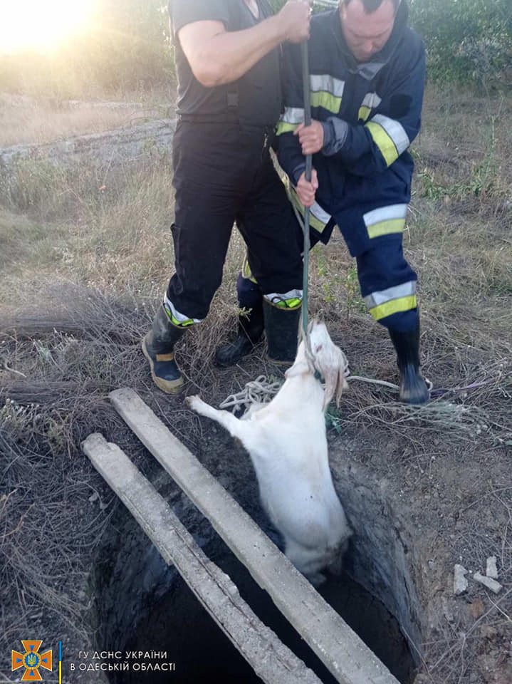 Спасатели рассказали о том, как прошли последние сутки в Одессе и области.