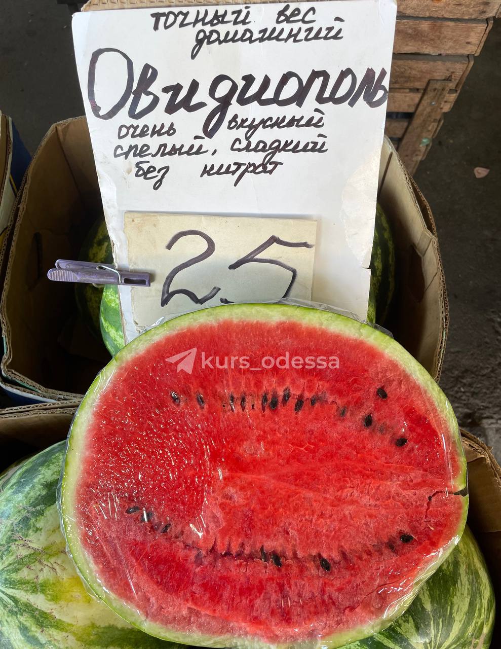 Почем продают дыни и арбузы на одесском Привозе.