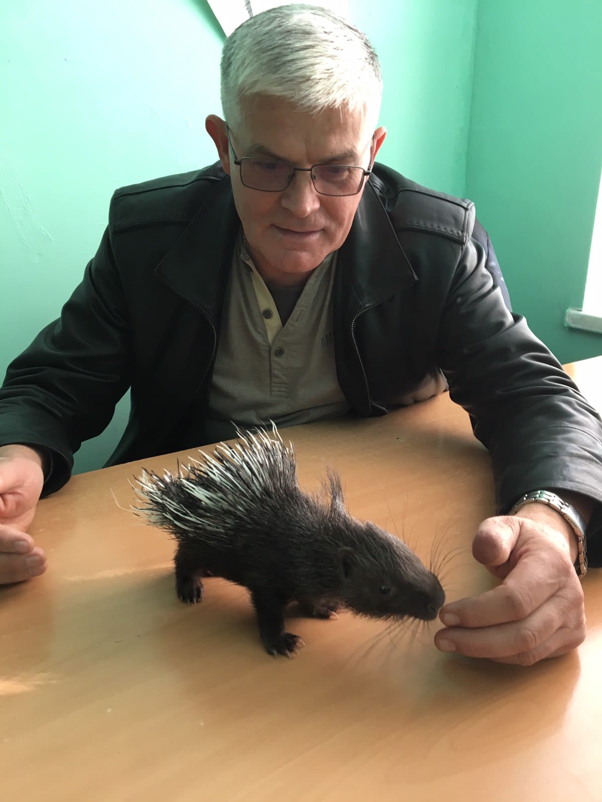 Дикообраз в одесском зоопарке. Фото Игоря Белякова