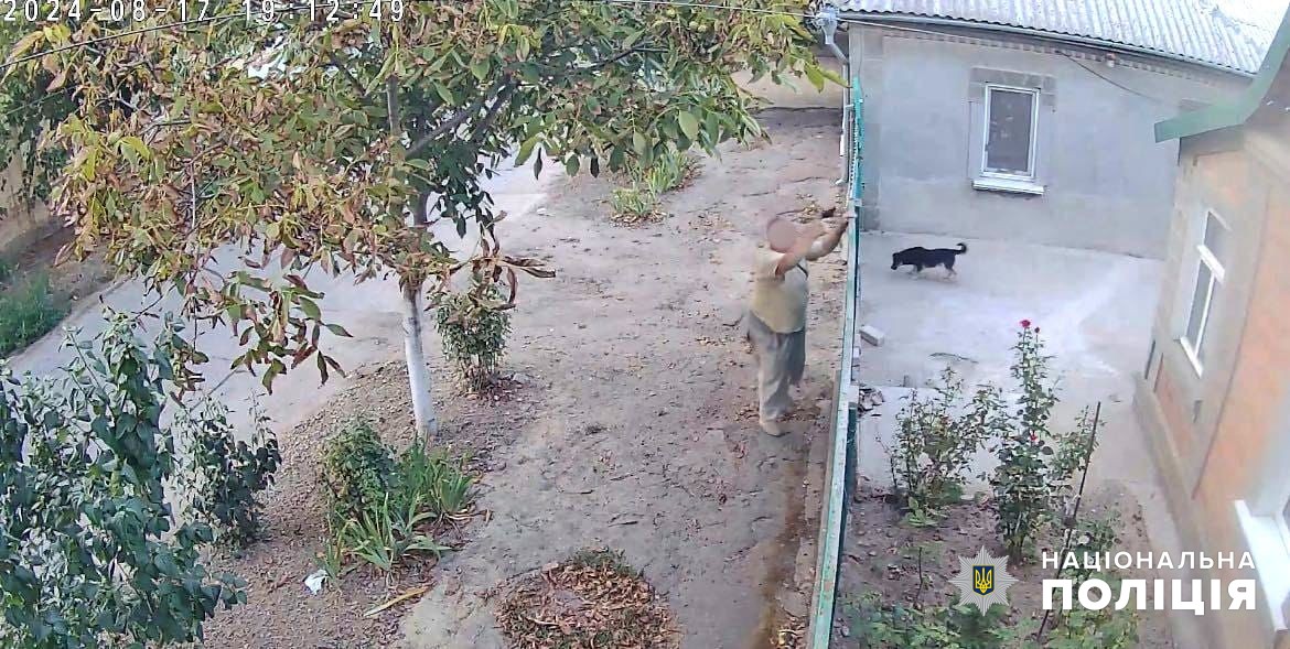 В Одесской области мужчина открыл стрельбу по собакам и угрожал оружием детям (обновлено).