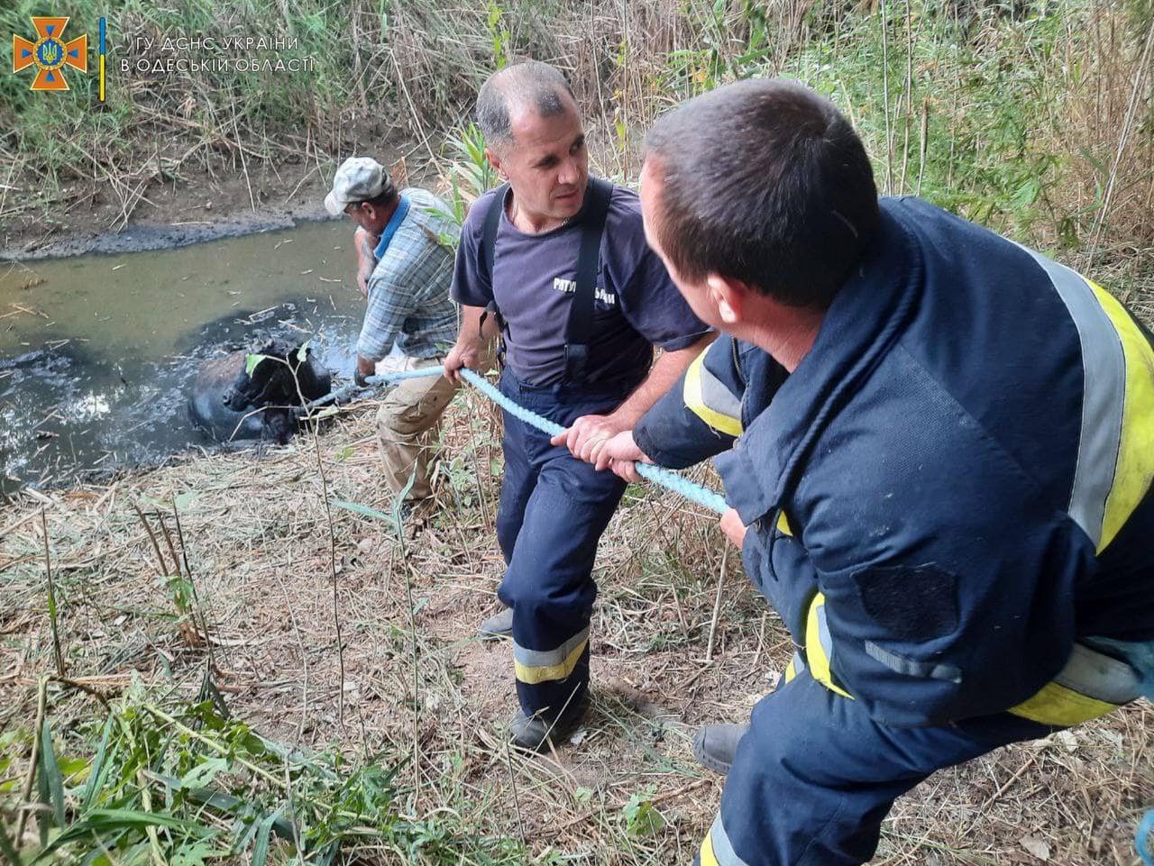 Четыре подрыва боеприпасов и помощь корове: как прошли сутки у одесских спасателей.