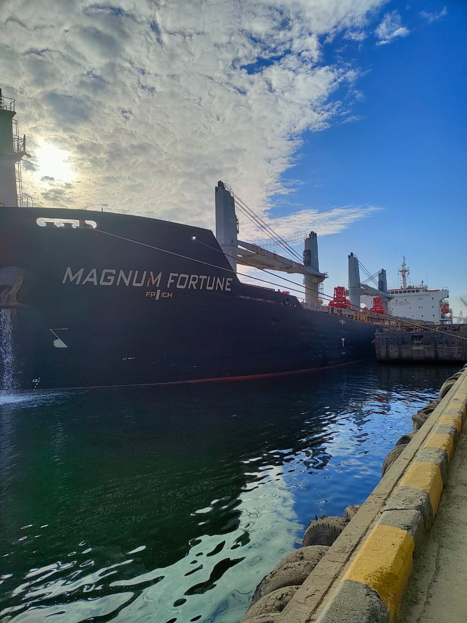 Из портов Одесской области вышли еще пять суден с зерном.