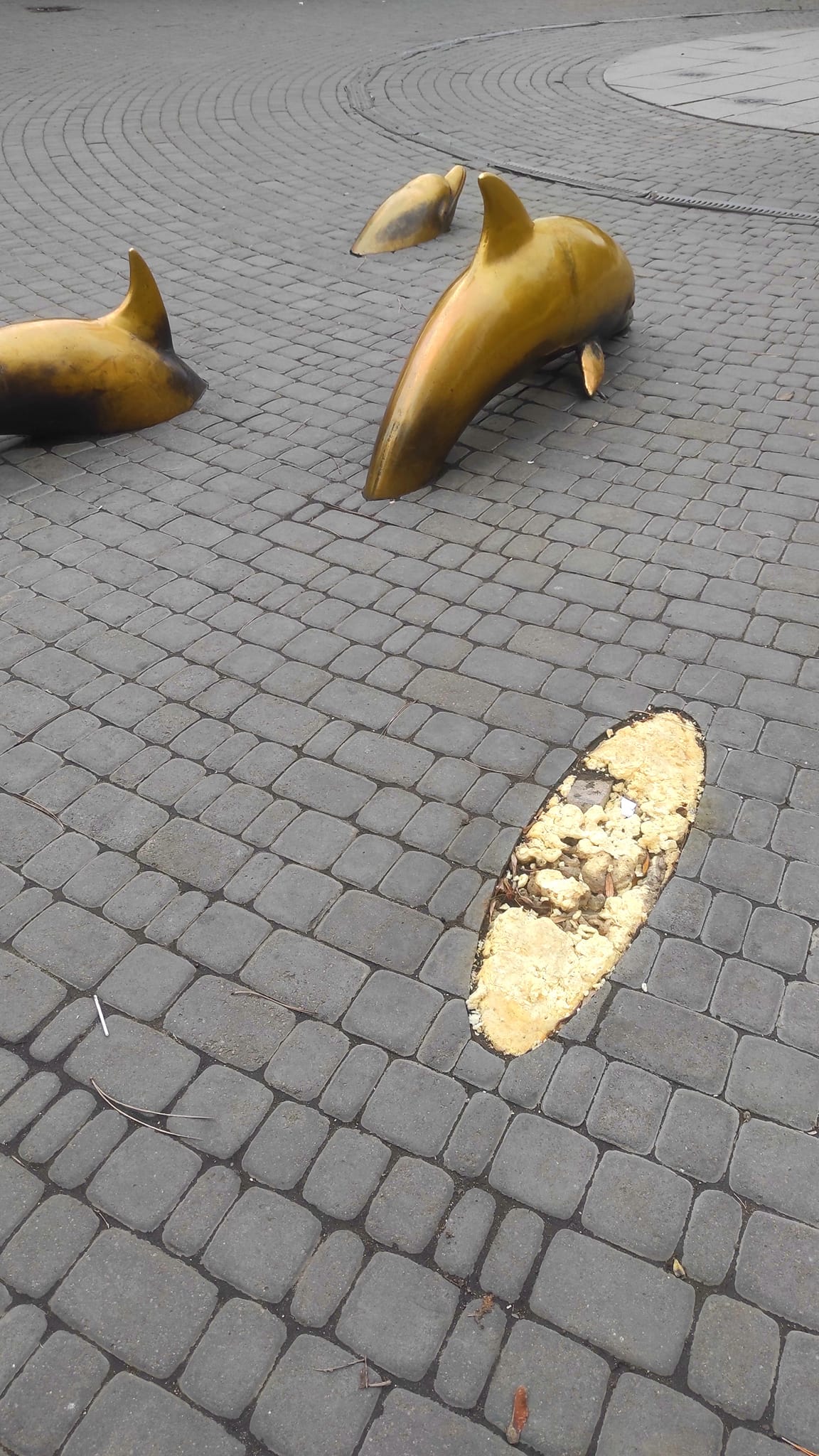 Зі Старосенної площі зникла скульптура дельфіна: що трапилося.