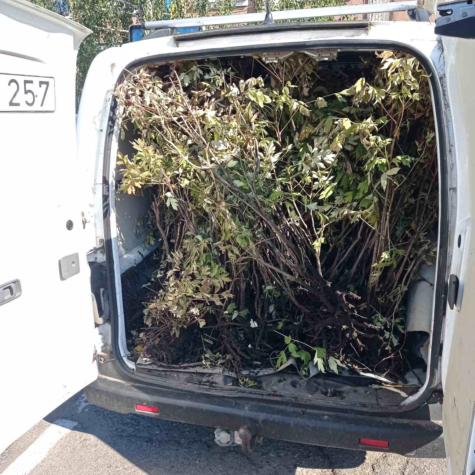 Отец погибшего защитника подарил пионы громаде в Одесской области.