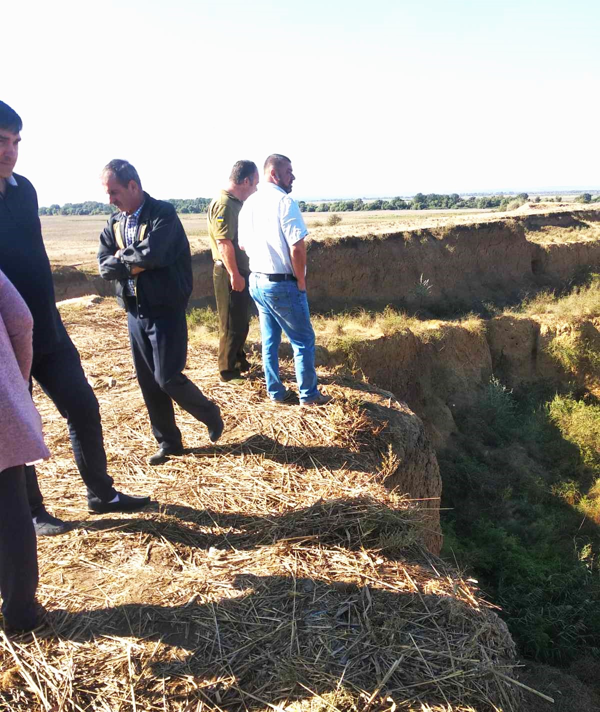 На Одещині виявили занедбаний кар'єр із трупами тварин.