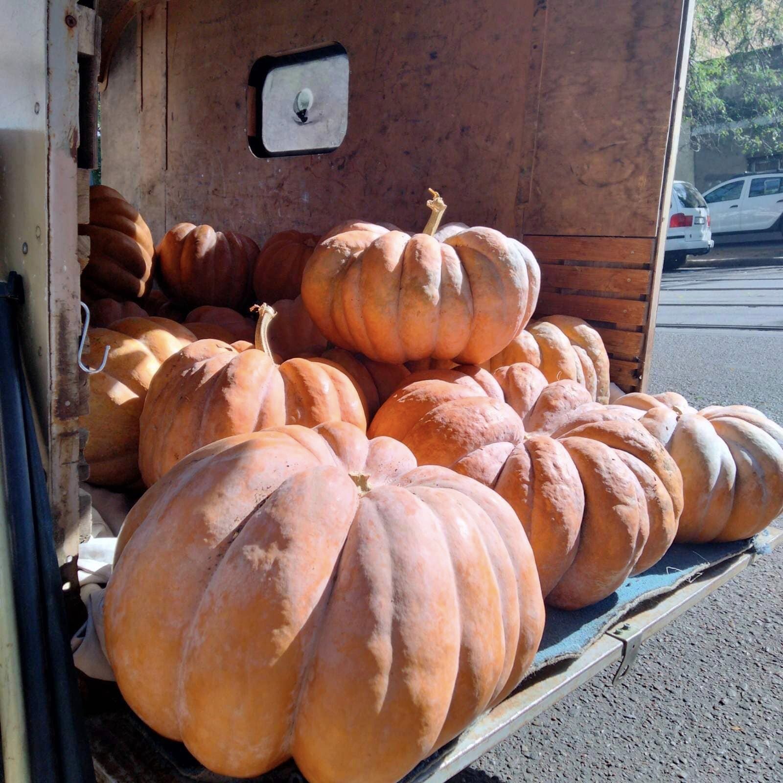 Староконка.