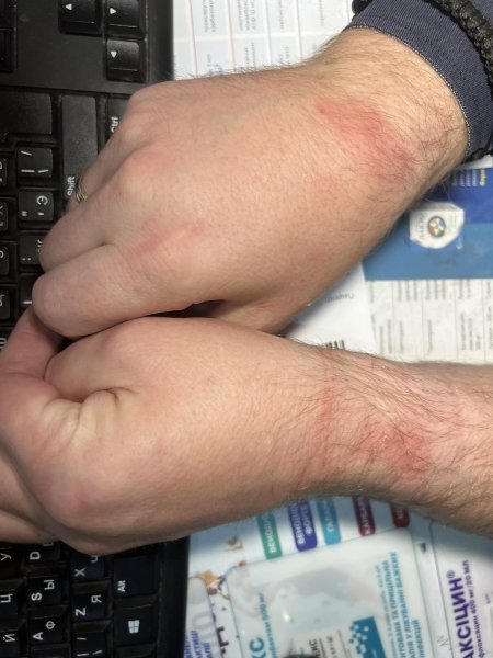 В СБУ рассказали про обыск в кабинете у мэра Белгород-Днестровского.