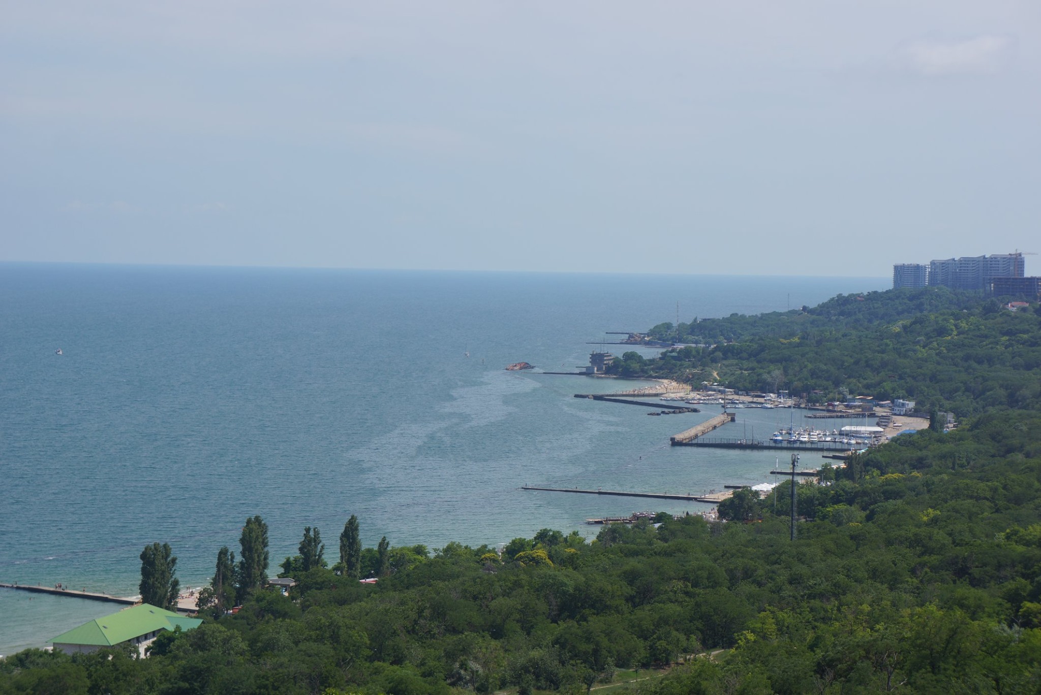 Фото: Александр Захаров